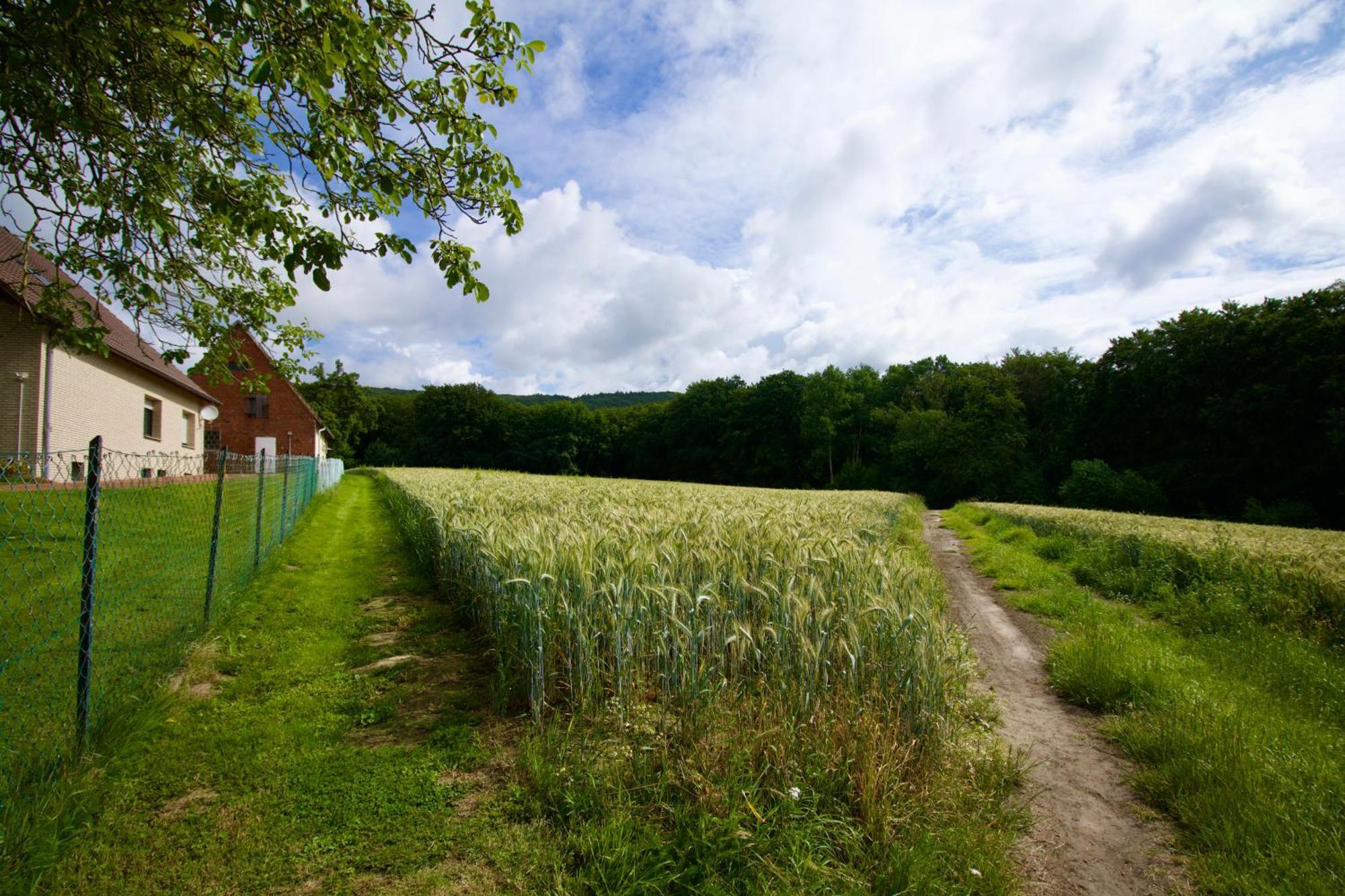 Ferienhaus Plattenberg Bad Oeynhausen Kültér fotó